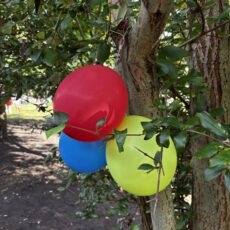 Sommerfest 19. September 2025